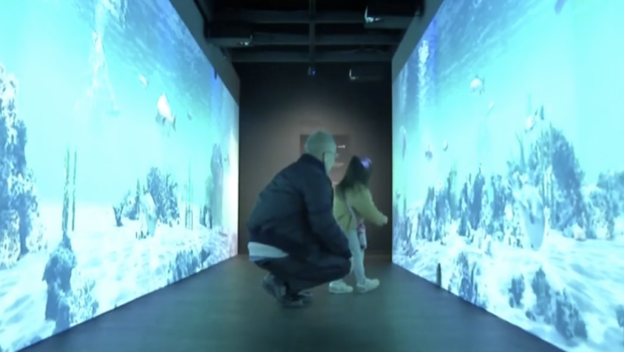 淡路島の海中を再現した3Ｄデジタルアートも　うずしお科学館リニューアル